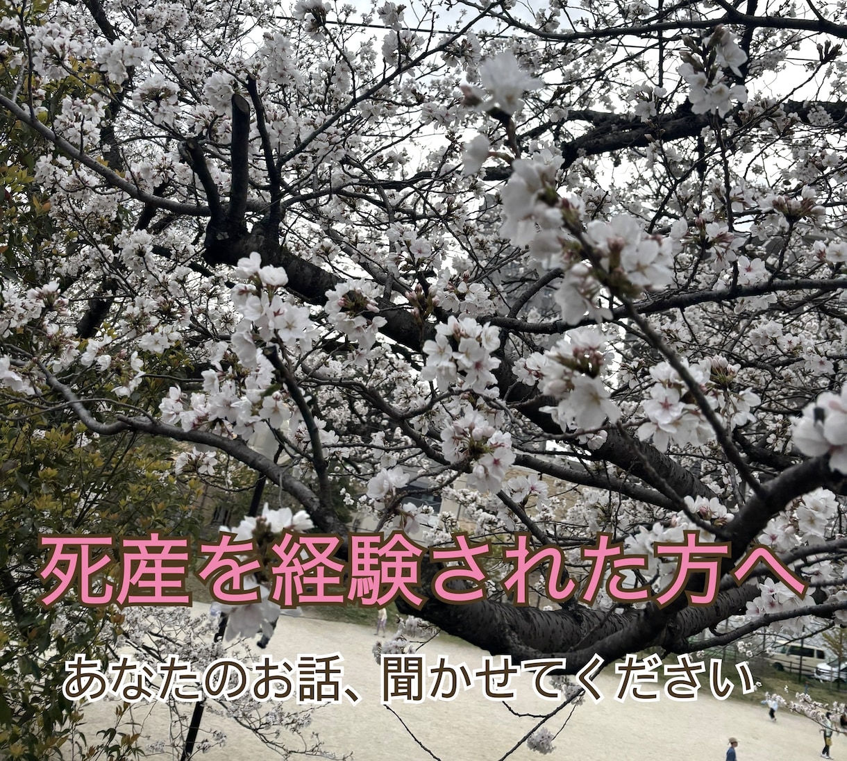 死産を経験された方のお話を聞きます 誰にも話せなかった気持ちを、ゆっくりお話しください イメージ1