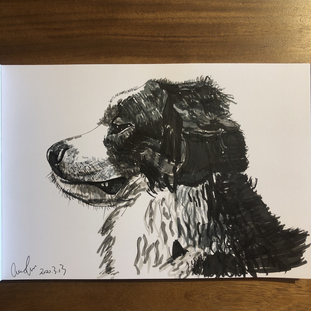 動物の似顔絵とイラストを描きます 色鉛筆とアーティストペン、どちらでも描けます！ イメージ4