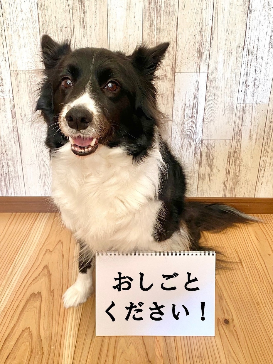 元フリーペーパー編集部員がライティングします あなたの"伝えたい事"を届ける文章をご提案します。 イメージ2