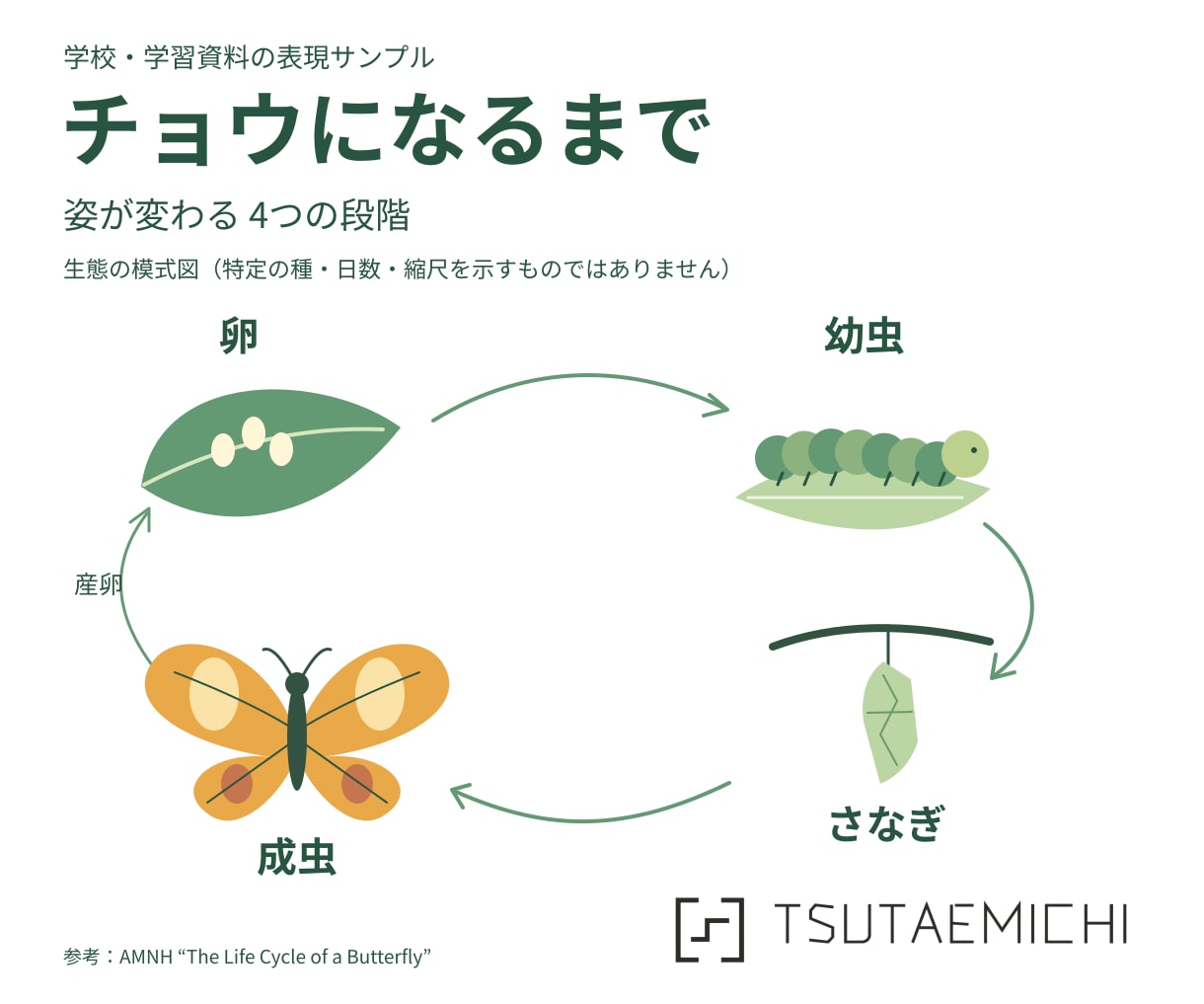 複雑な情報を整理し伝わる一枚資料にまとめます 読む人の疑問に合わせ、文章と図解で分かりやすく構成します イメージ7