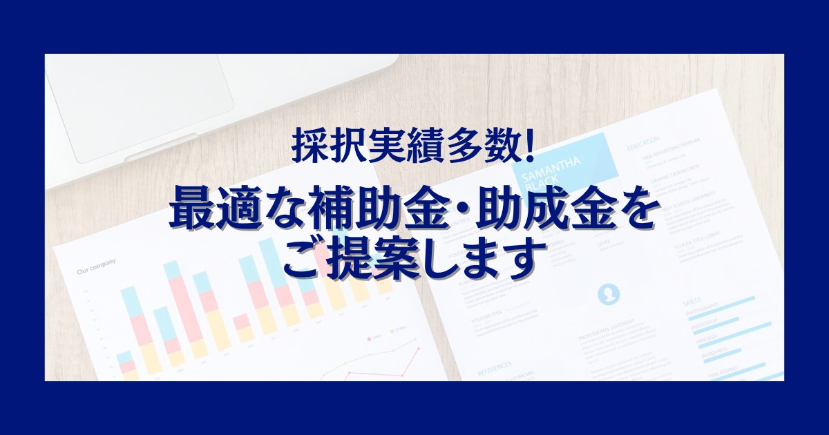 あなたに最適な補助金・助成金を診断します 採択実績多数！最新の補助金知識と実務経験に基づくプロの診断！ イメージ1