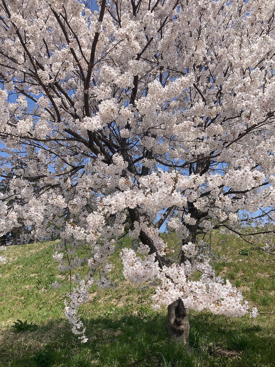 1分からでもOK～♬あなたのお話しお聞きします 今すぐ話したいお悩みや愚痴何でもお話下さい✩.*˚ イメージ4