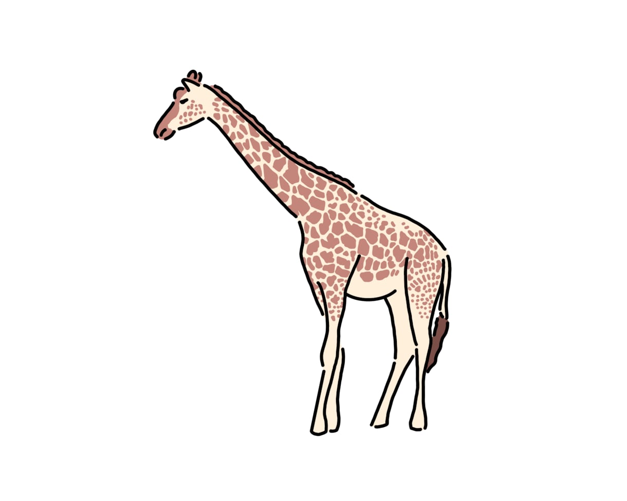 商用利用OK！シンプルで使いやすいイラスト描きます Web用、書籍や雑誌に使いたいなど、欲しい媒体に合わせて納品 イメージ8