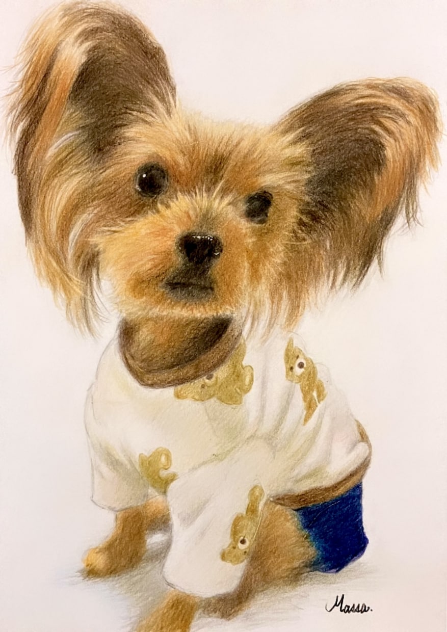 人物やペットなどリアルな色鉛筆画を描きます 色鉛筆の良さを活かして画像より綺麗でかわいい仕上がりにします イメージ4
