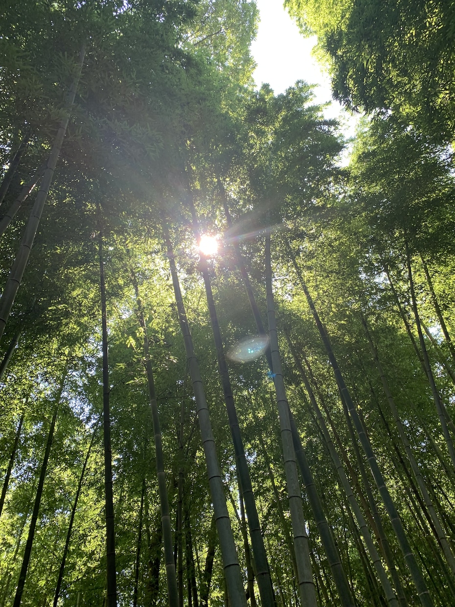 今伝えたい‼️亡くなった方のメッセージお伝えします チャネリングと霊視、透視で愛のメッセージをお伝えします。 イメージ1