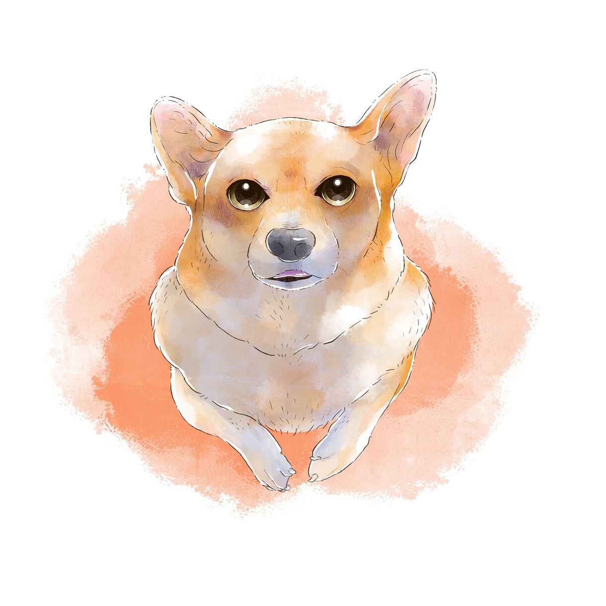 商用可◎可愛いうちの子を優しいタッチで描きます ★全身イラスト標準！何気ない姿イラストに残しませんか？★ イメージ8