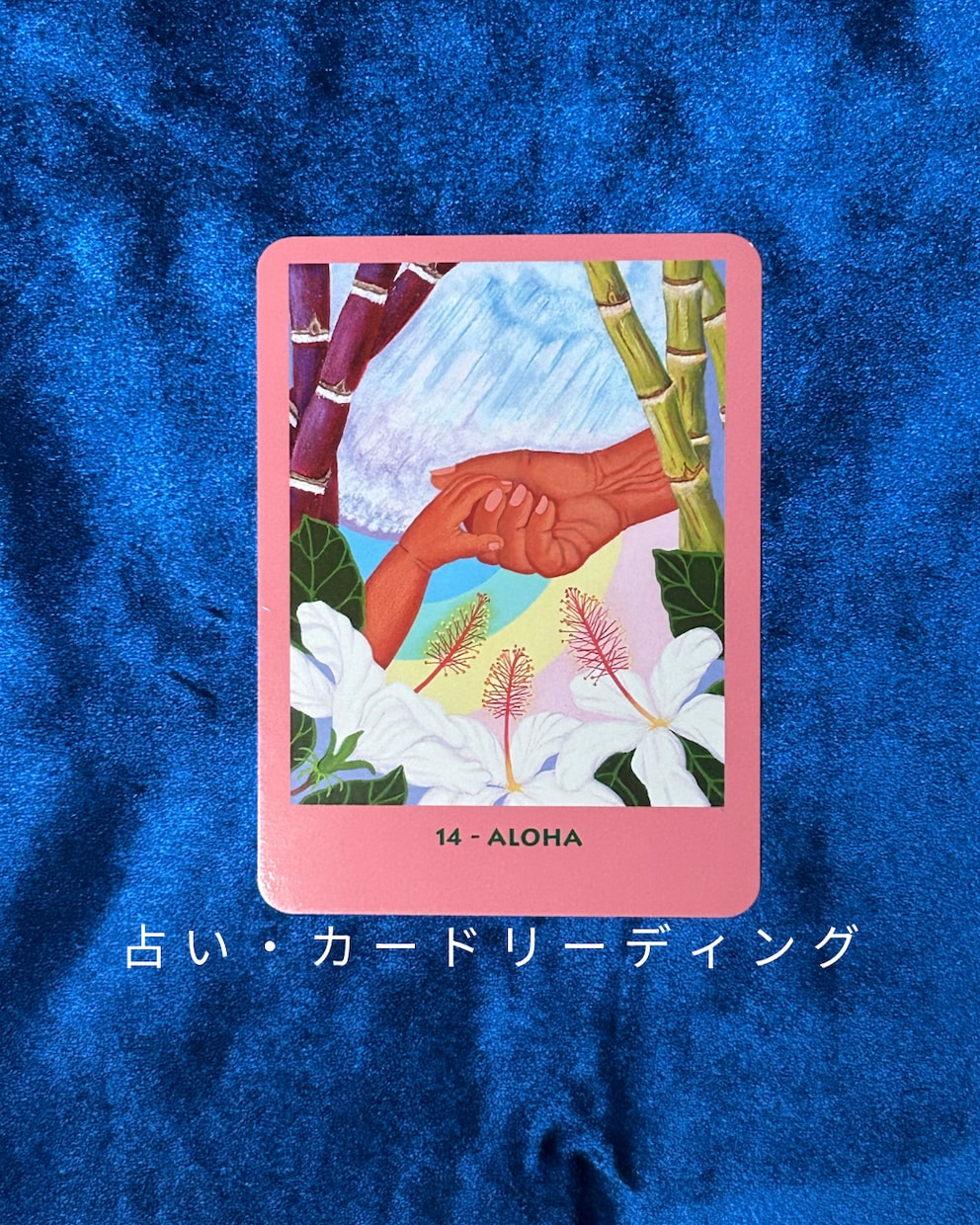 オラクル＆マナカードでリーディングします チャネリングとカードで、あなたへのメッセージをお届けします。 イメージ1