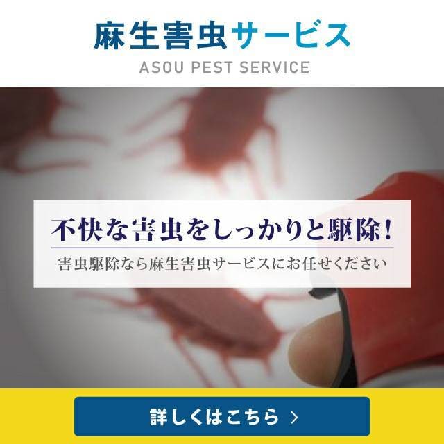 ゴキブリ駆除、家で出来る対策をお電話で提供致します ゴキブリ駆除はポイントを抑えれば対策できる イメージ1