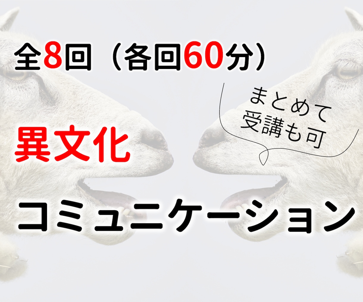 全8回、異文化コミュニケーション力を強化します 経験豊富な講師と一緒に、未知との出会いへ備えよう イメージ1