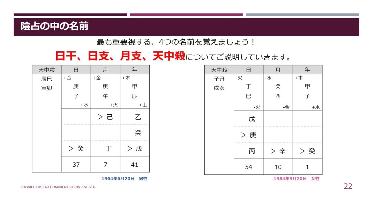 算命学の命式（恋愛相性の見方）について教えます 算命学の基礎講座を学ばれた方向け、恋愛相性に特化した講座です イメージ10