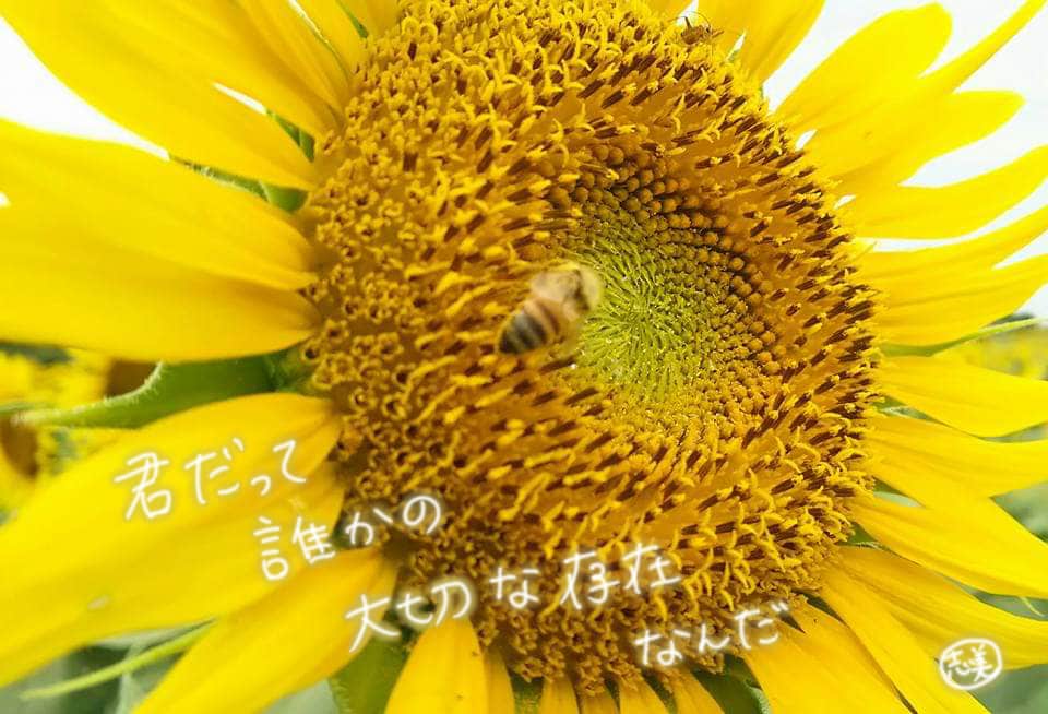 本当の自分を見つけるお手伝いします 自分がどこへ進んでいいかわからない方へ、そっと背中を押します イメージ2