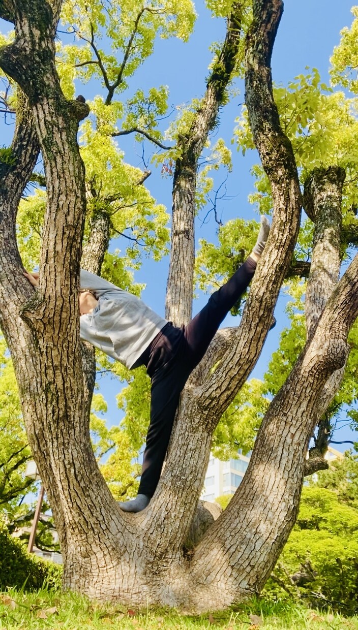 気分転換しませんか？♡癒します 仕事、恋愛、人間関係、健康の悩みetc...何でも♪ イメージ3