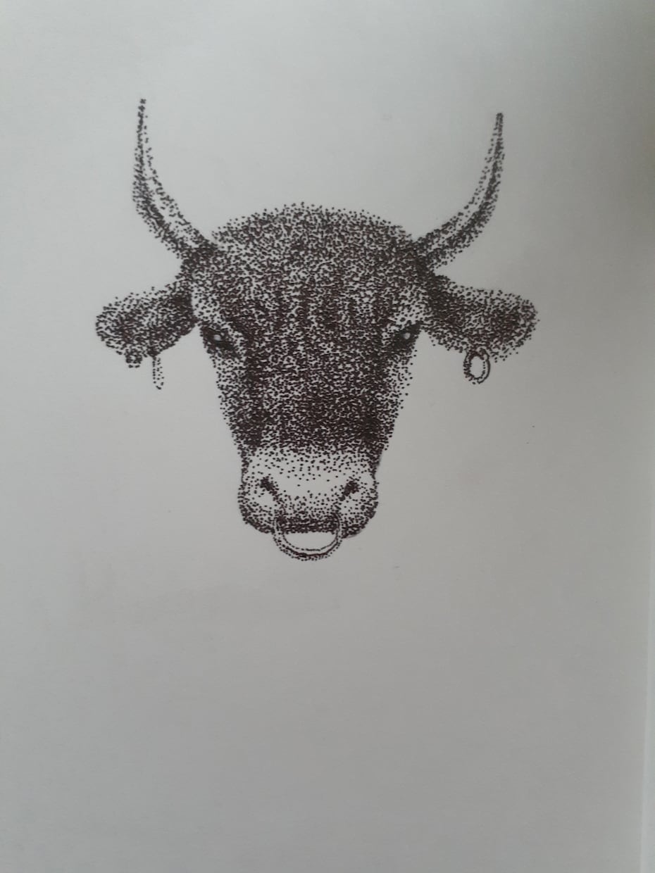 ペットの似顔絵を描きます 色鉛筆画またはボールペンの点描画で写実的なペットの似顔絵作成 イメージ3