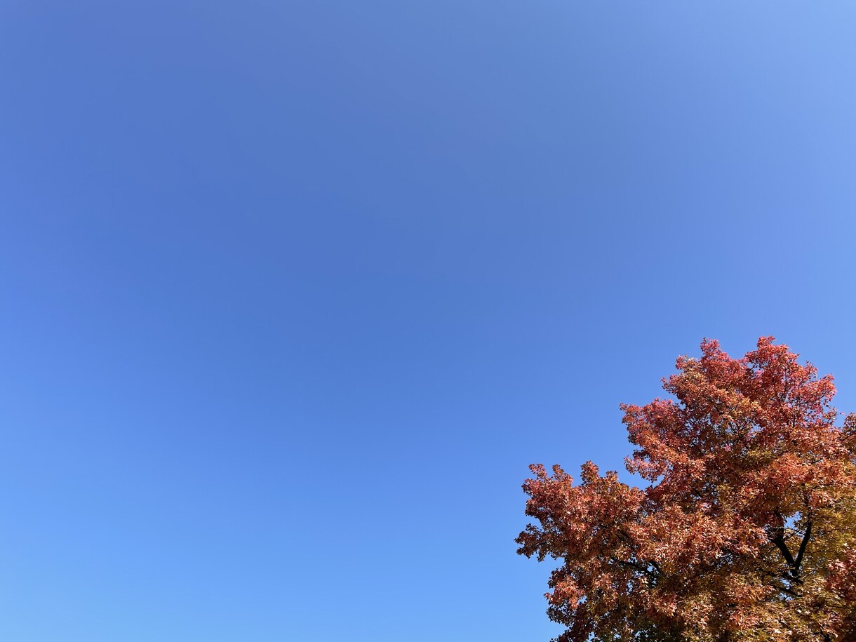 秋の風景写真、5枚→10枚提供します 加工、商用利用OK！各種静止画投稿・動画の背景に使えます イメージ4