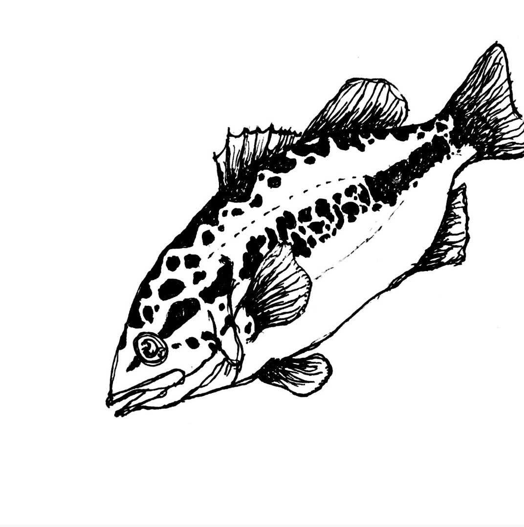 ボールペンで味のあるイラスト書きます ジャンルは問わずなんでもイラストにできたらと思います イメージ2