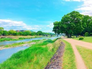 スピード鑑定最速20分〜＊二者択一を霊視で視ます 簡易版＊イエス・ノーで迷われている方にズバッと回答します イメージ2