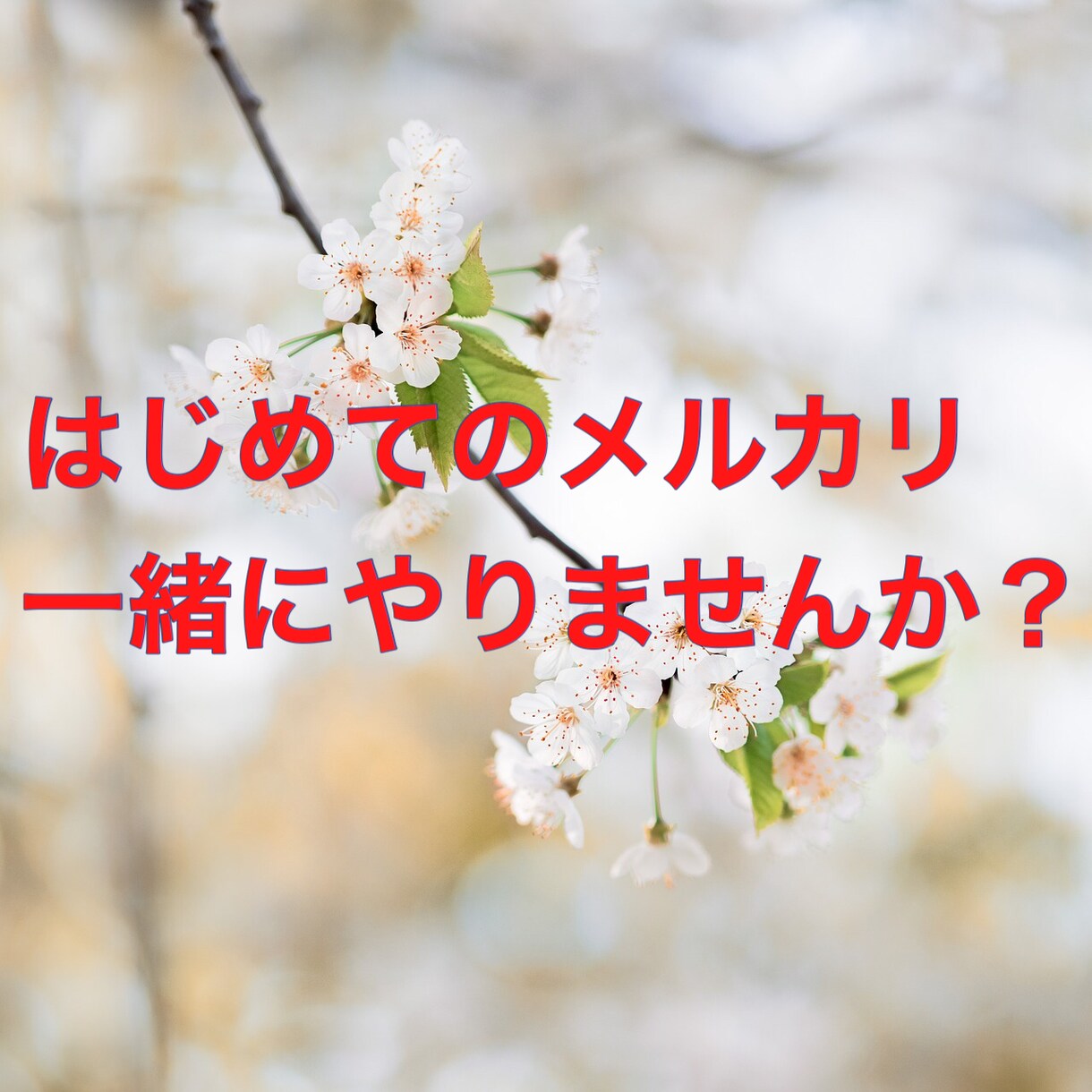 はじめてのメルカリ出品の相談のります ちょっとした質問で大丈夫です！ イメージ1