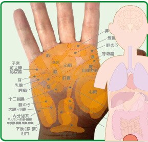 資質、適性、運勢傾向の【手相分析チャート】作ります 性格は？、適職は？、金運は？、注意する病気は？、運勢傾向は？ イメージ1