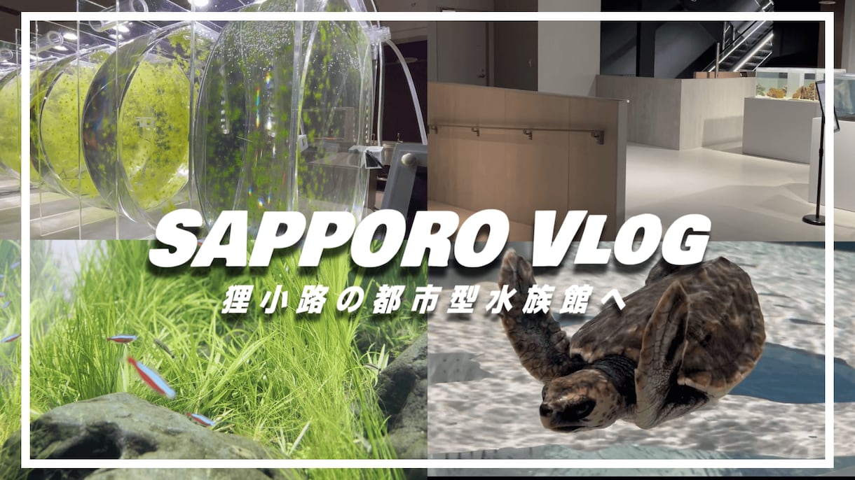 高品質なYouTube・SNS動画を制作します ご購入前無料サンプル作成で安心お取引！SNS運用にも特化 イメージ8