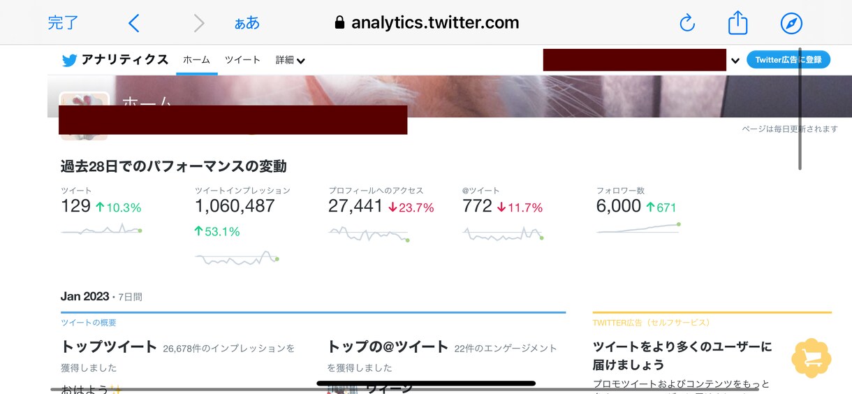 Twitterに1,000人以上のファンを付けます あなたのペットを有名なインフルエンサーにしませんか？ イメージ2