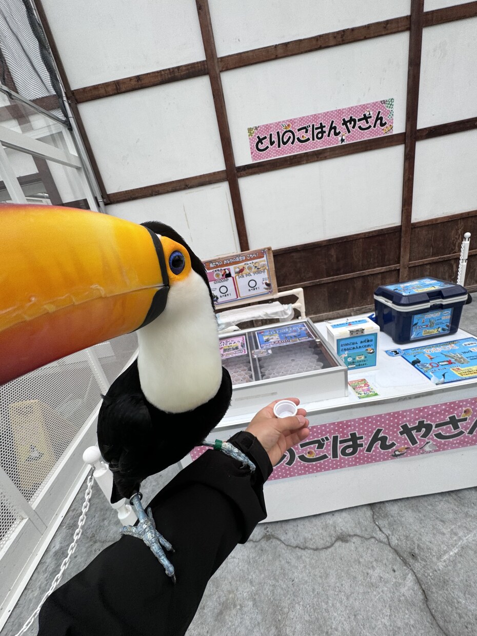 あなたに寄り添います 悩んでいる事自慢したい事褒めてほしい事何でも教えて下さい イメージ9