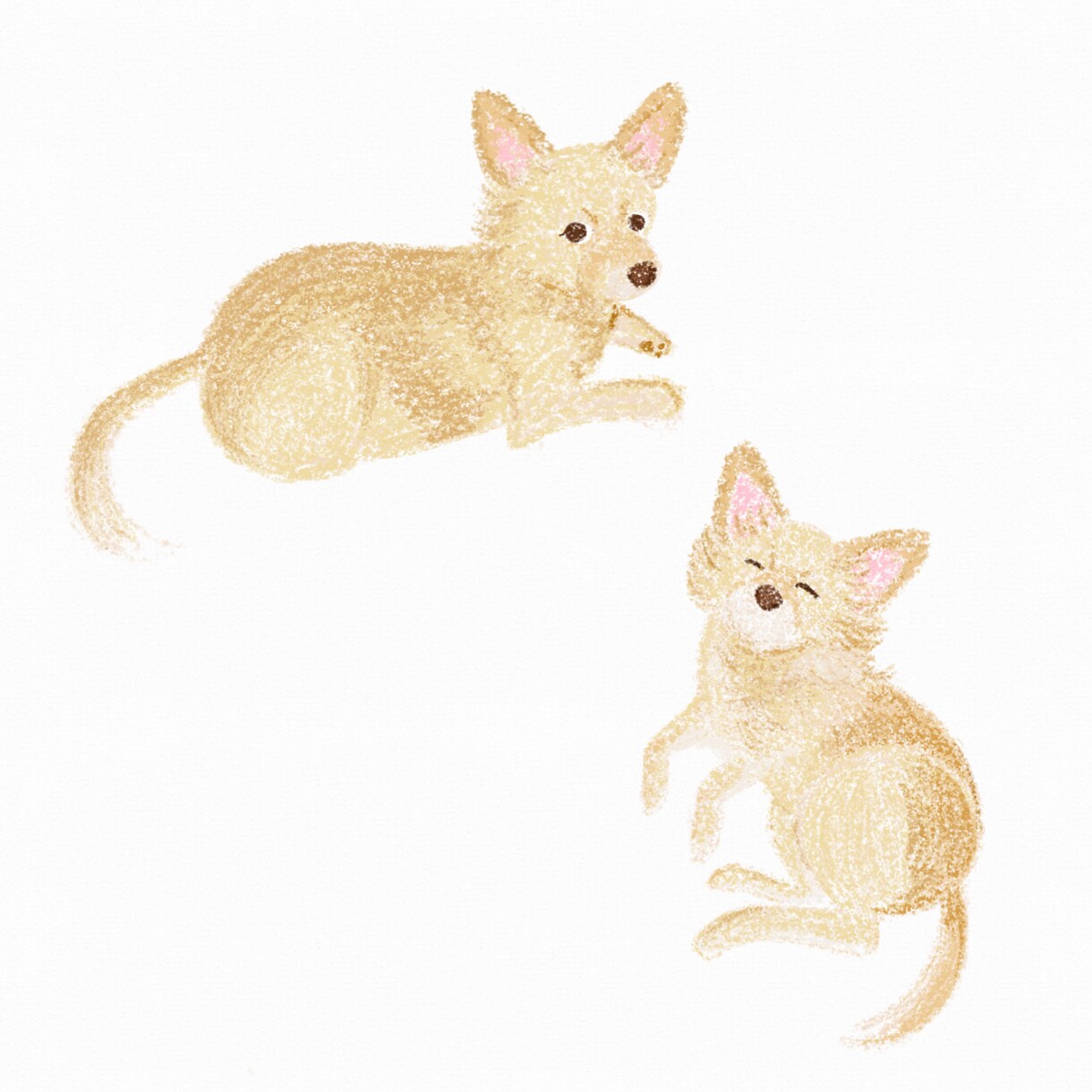 ペットのイラストを描きます あなたのお家の小さな家族（ペット）の絵を描かせてください！ イメージ1