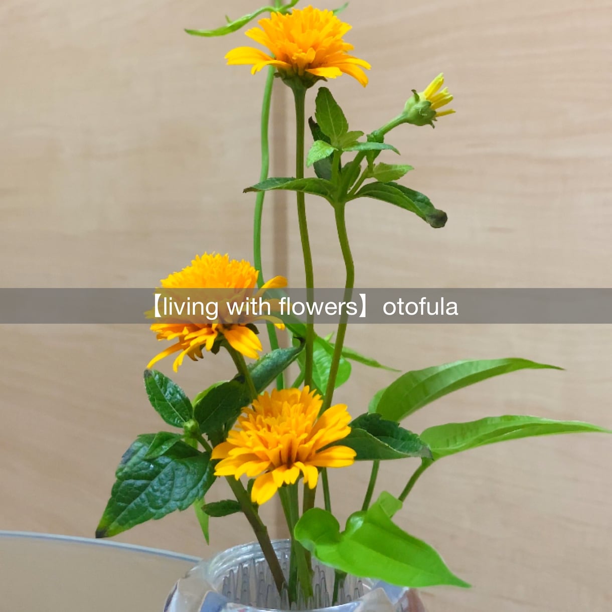初心者さんにお花の飾り方をアドバイスします あなたもお気軽に『花のある暮らし』をしてみませんか？ イメージ2