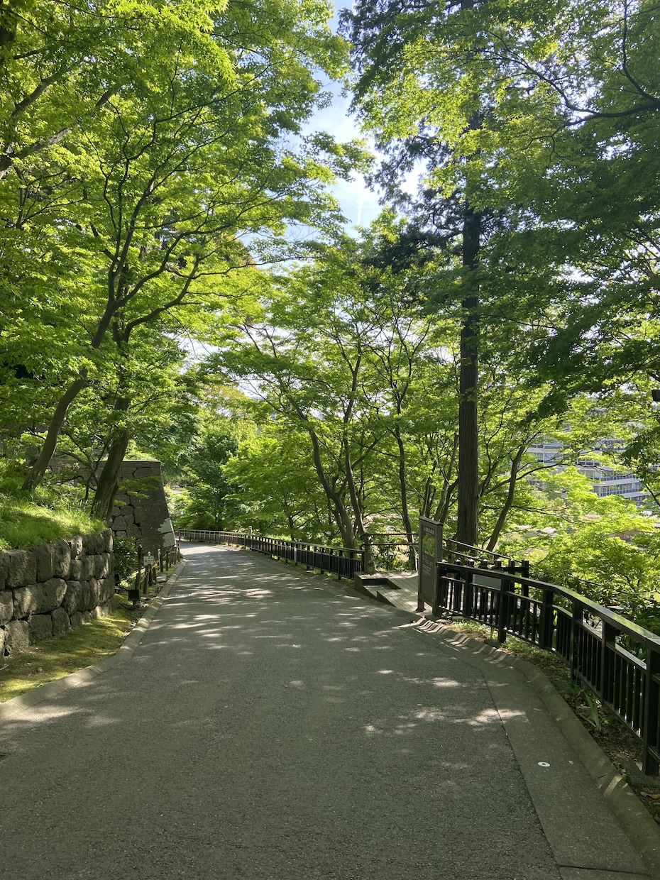 個人の全体運、健康運を鑑定します 自分の性質がホロスコープから詳細にわかります イメージ1