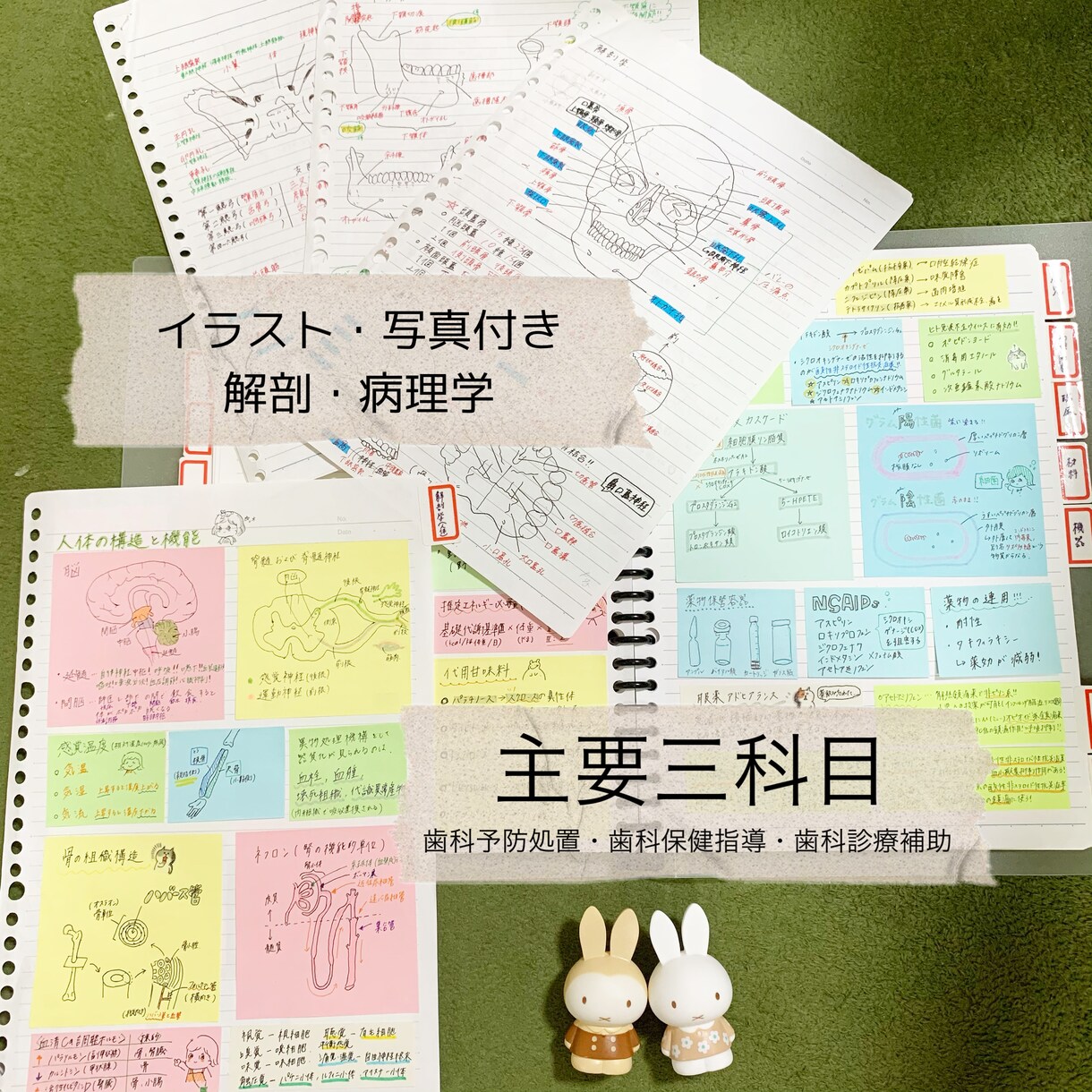 現役DH作成！国試対策まとめノートをお届けします 勉強の時短に！語呂合わせも多数記載しています^_^ イメージ4