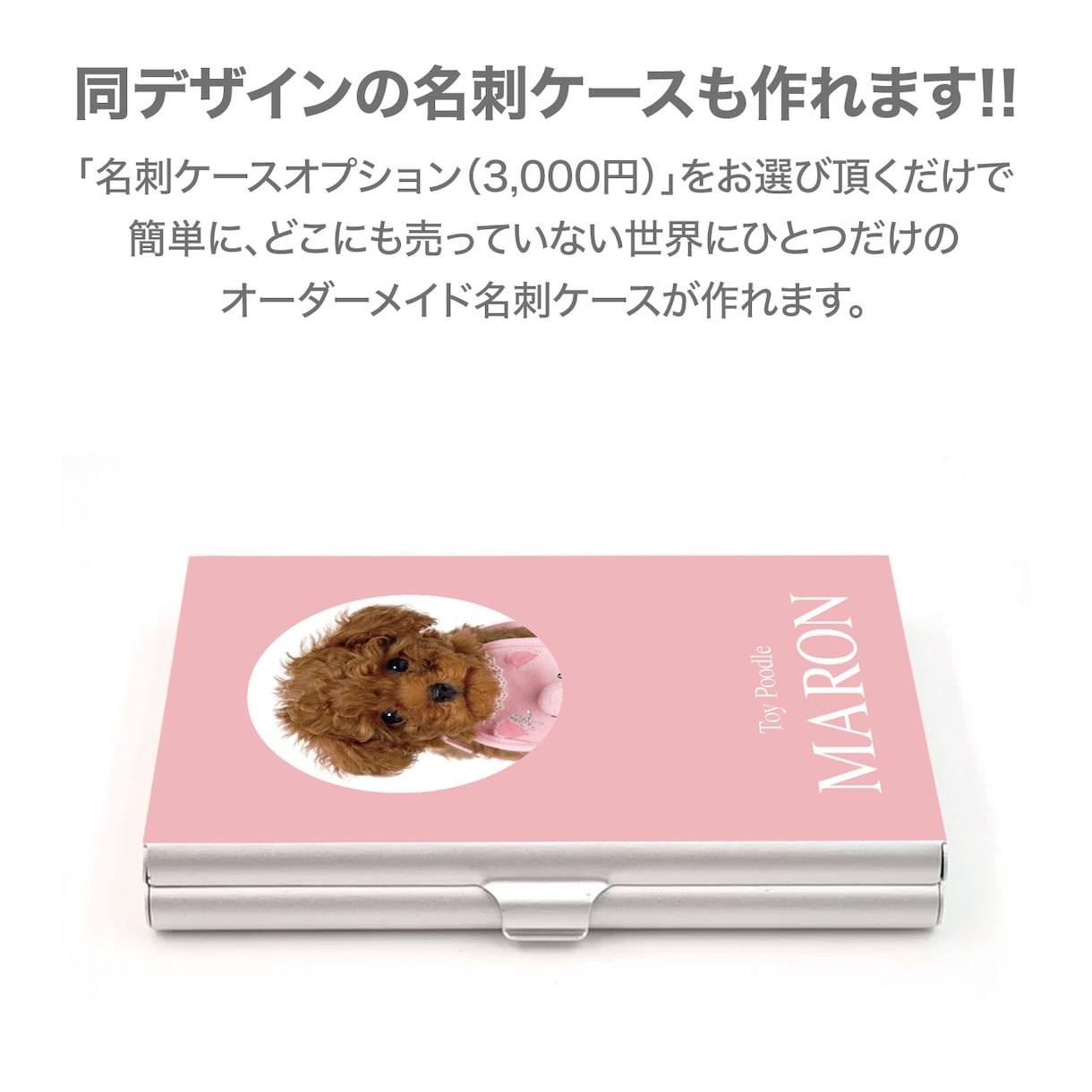 シンプルでかわいいデザインのうちの子名刺を作ります 【両面印刷100枚】送料無料　セミオーダー　QRコード入り。 イメージ4