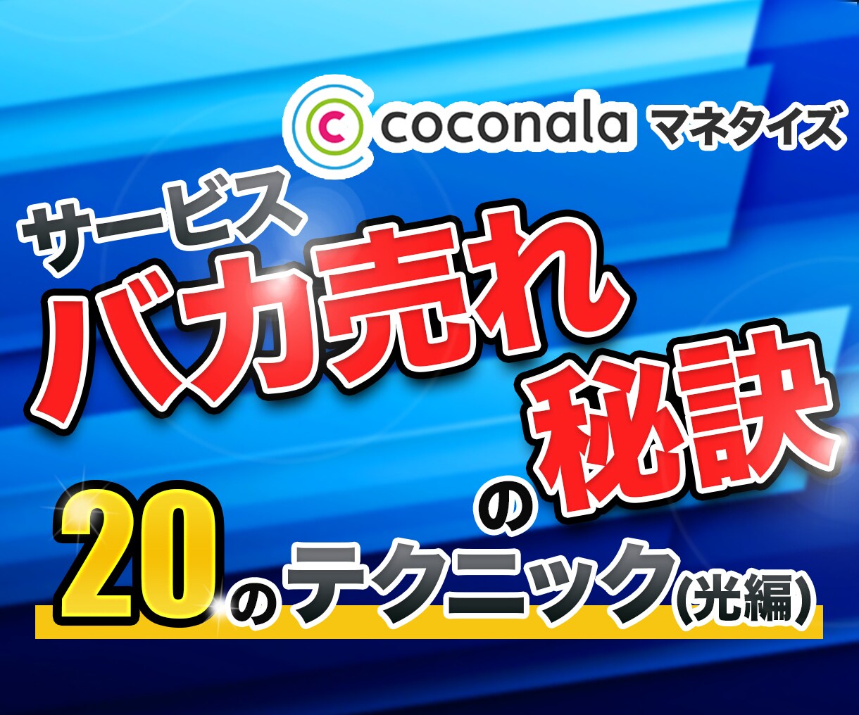 驚愕のココナラマネタイズ！売れる秘訣教えます 10万円を売り上げるまでに行った２０のテクニックを伝授します イメージ1