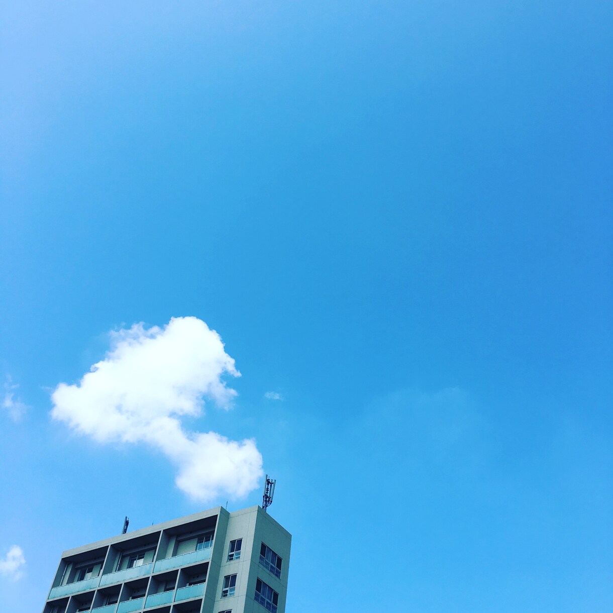 matchis会員限定電話相談受付けます ★matchis会員限定電話相談★ イメージ1