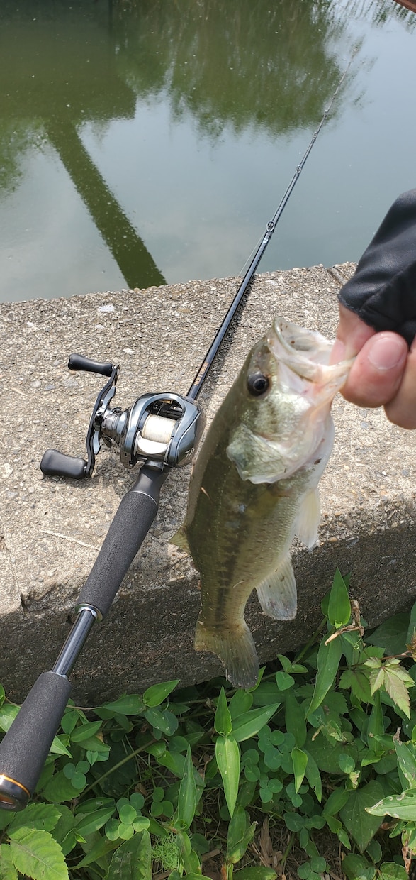 バス釣りのポイント調査してきます 関東全域の気になるバス釣りポイントの調査です！ イメージ2