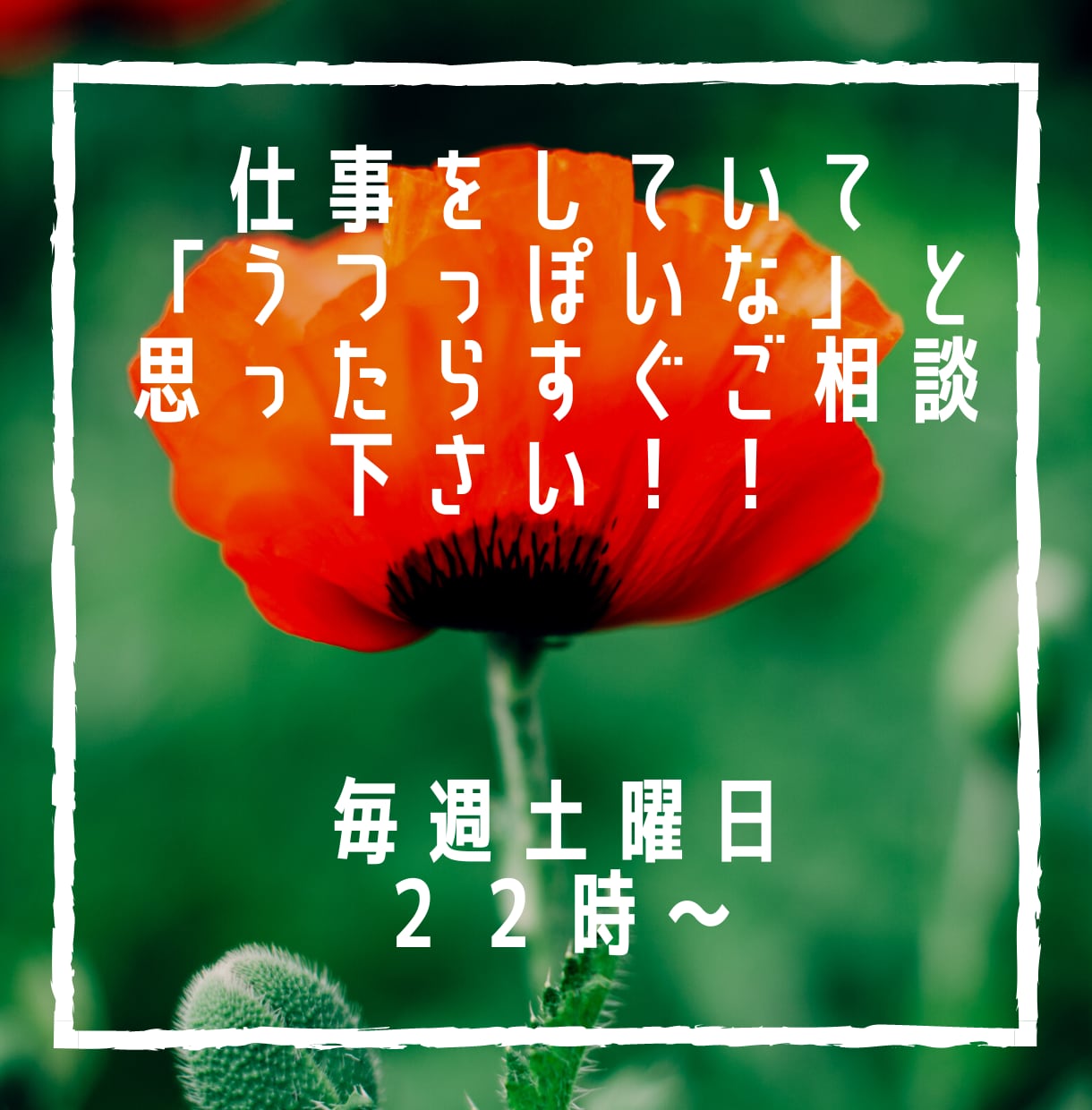 毎週土曜日２２時～仕事で辛い方のお話をお聴きします 仕事をしていて「うつっぽいな」と思ったらすぐご相談下さい！！ イメージ1