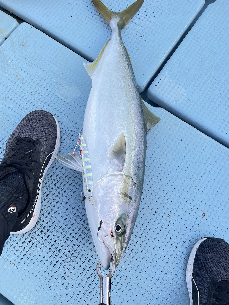 ルアー釣り教えます 今から始める初心者にも実績を踏まえてわかりやすく解説します！ イメージ5