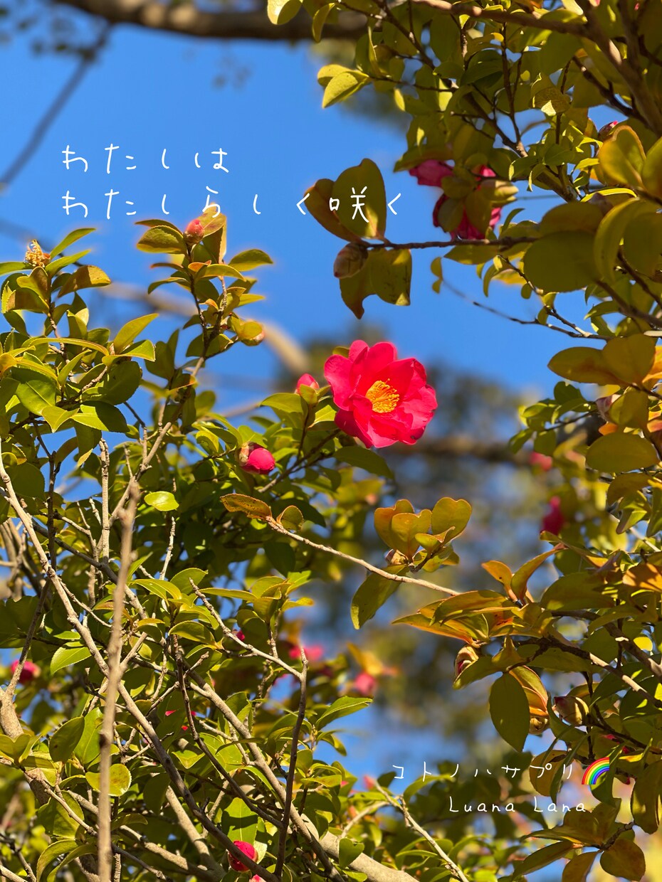 自分らしく在ることの答え探しを応援します 自分らしさを発見して、地球を楽しみましょう イメージ1
