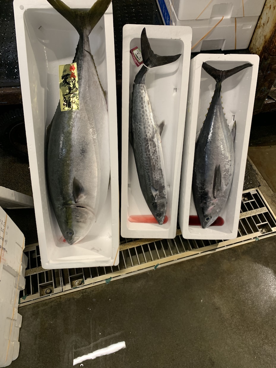 お探しの食材（海鮮,魚）販売先教えます 豊洲市場内、仲卸のことならなんでも聞いてください イメージ5