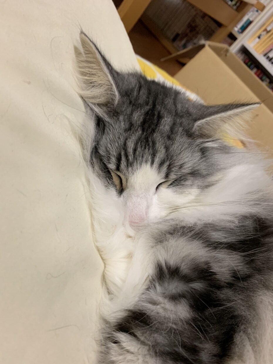 短時間でもok⭐︎愚痴から内容のない話でも聞きます 人の話しを聞くのが好きなので、気軽に来てください！ イメージ6
