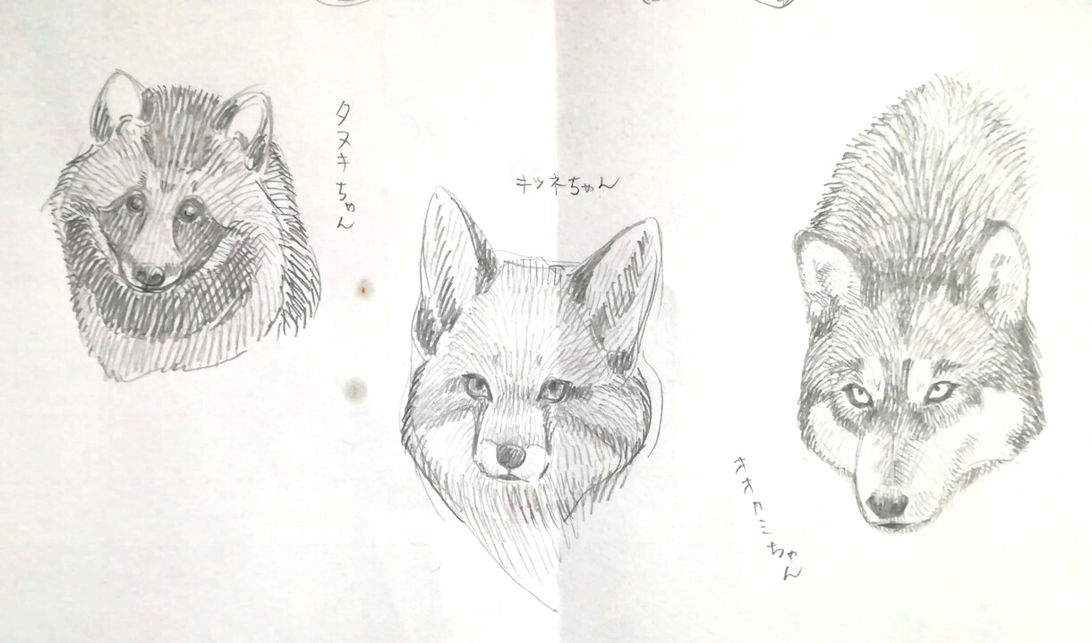 ラフ）キャラクターデザインいたします ケモノ、擬人化、クリーチャー…なんでも描きます！ イメージ7