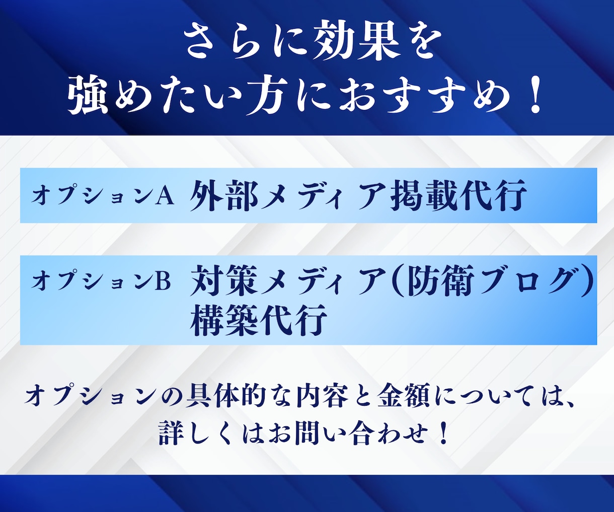 逆SEOで誹謗中傷・風評被害を対策します 個人名も対応！検索結果の汚染を浄化！ノウハウPDF特典進呈！ イメージ3