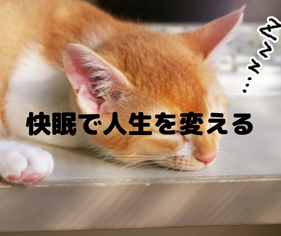 人生の質を上げる快眠の方法を教えます 具体的な方法であなたの睡眠を変える！ノーストレスな睡眠ライフ イメージ1