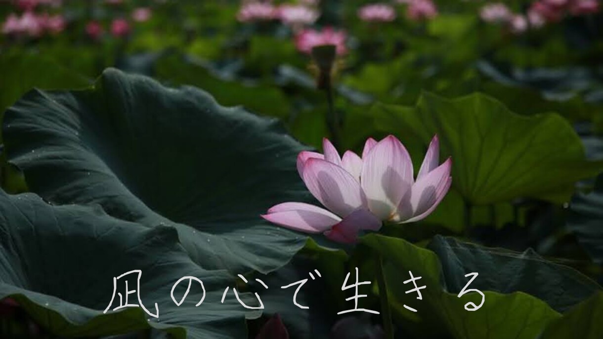 内観講座①凪の心で生きるための必須事項教えます 真の幸せを感じ、穏やかで楽しい凪の心で生きるための基礎知識。 イメージ1