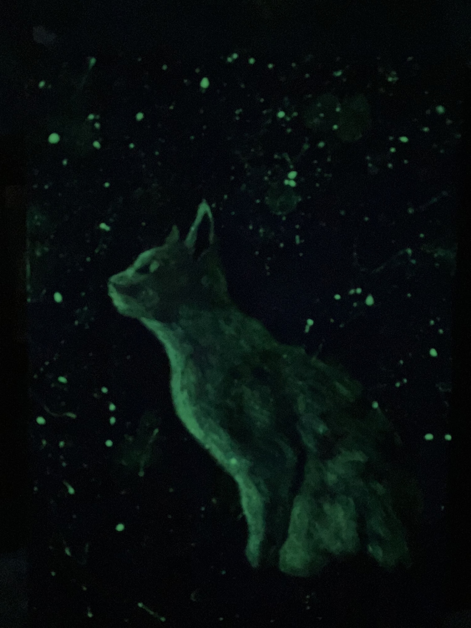 動物絵、描かせて頂きます 動物アクリル画。オプションで闇夜に光る加工できます。 イメージ2