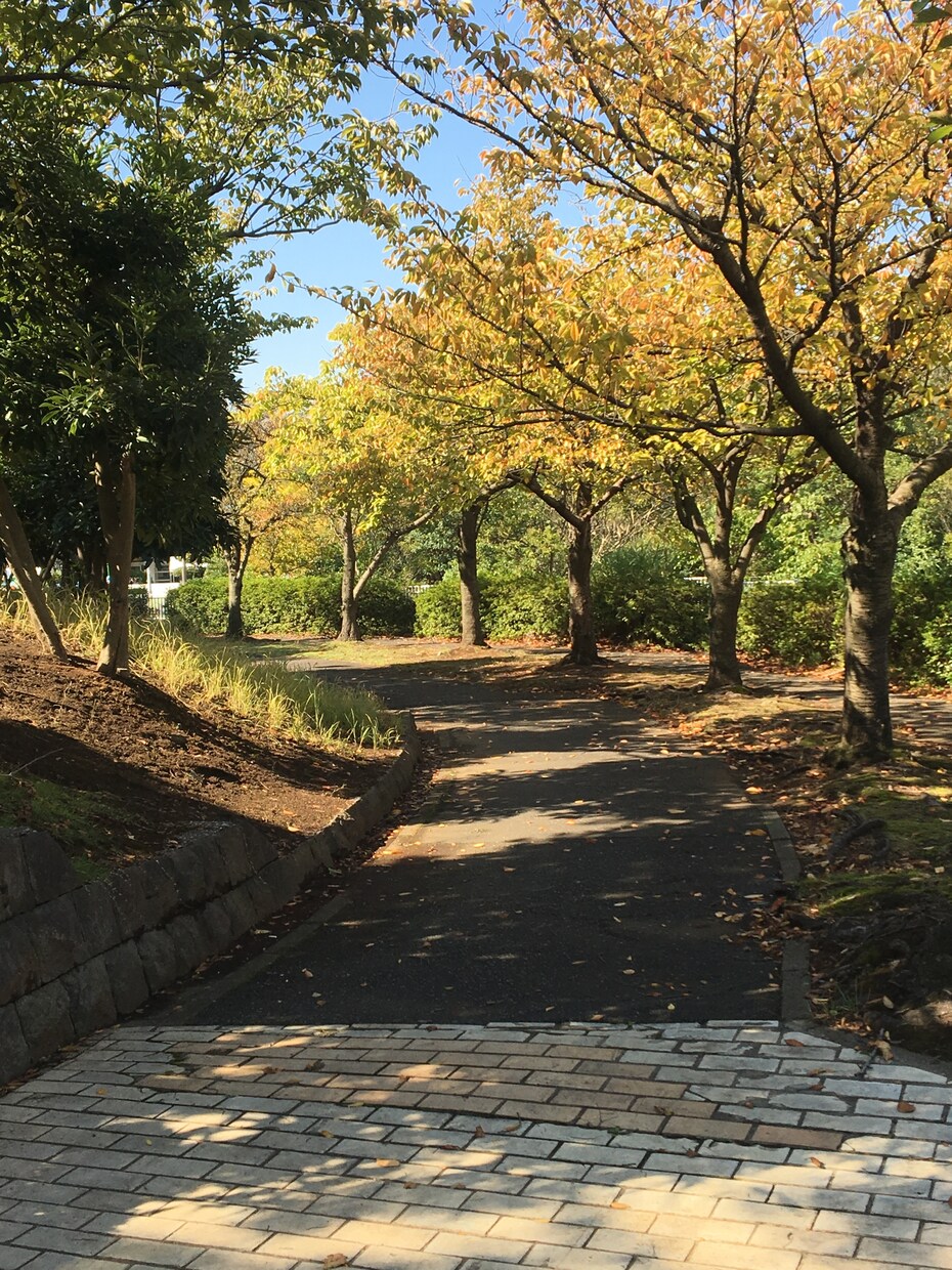 空き家の状況報告します 空き家などの様子が気になりるけどなかなか行けない方へ イメージ1