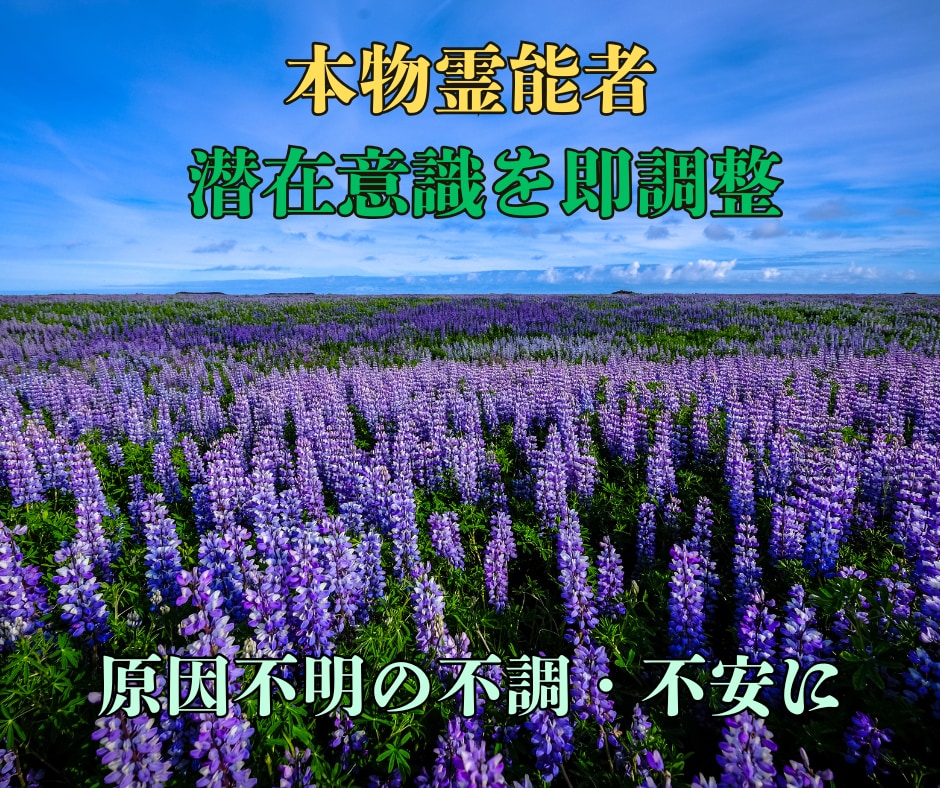 本物霊能者が潜在意識と波動の乱れを即調整します 原因不明の不調・不安・停滞を霊視で特定し静かに整えます イメージ2