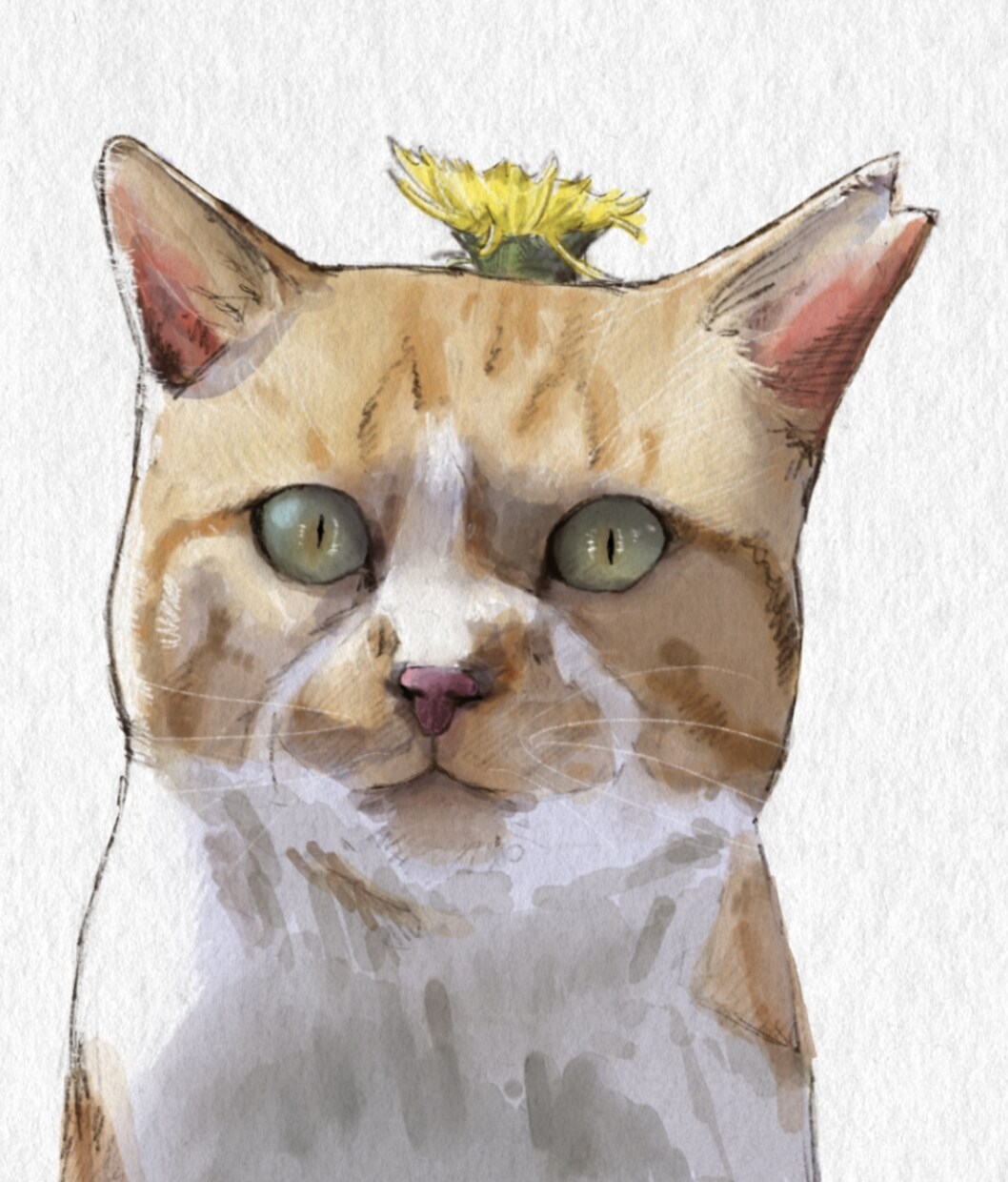 大切なペットの絵を水彩風に描きます 大切な家族のペットの写真をオシャレに水彩風に描きます イメージ3