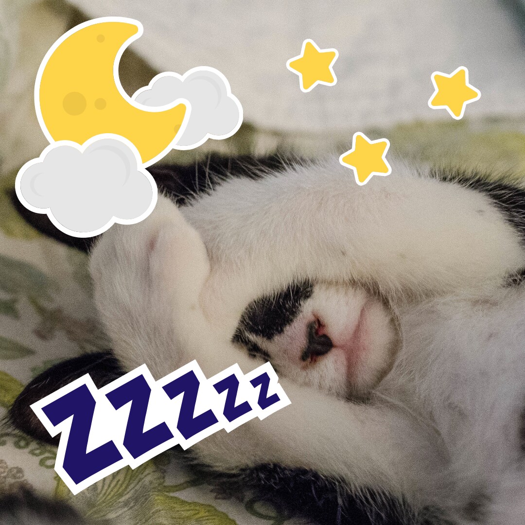 今日はどんな一日だった？✰*☽ゆったりお話聞きます (❁´ω`❁)お試し１分からOK♪♪ イメージ6