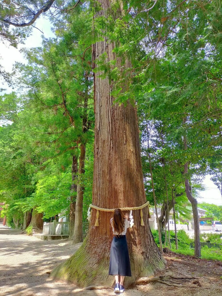 お試し価格でお話お聞きします 要らない感情を解放し、本来持つ強さを一緒に引き出しましょう イメージ2