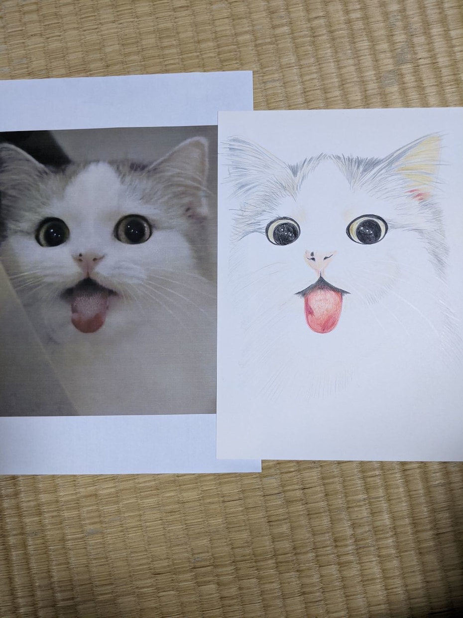猫の似顔絵描きます 色鉛筆画で写真そっくりに描きます。 イメージ5