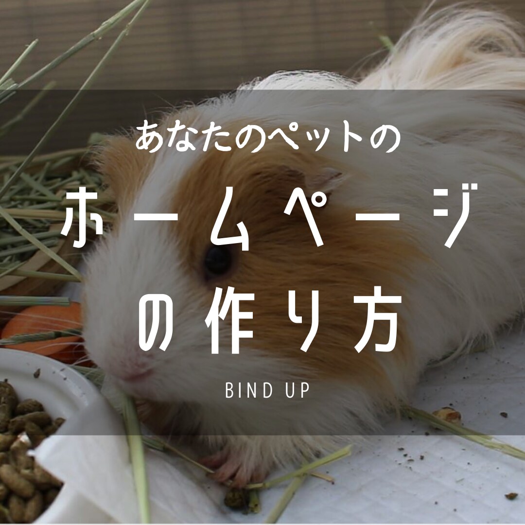 ホームページの作り方をソフトを使って教えます 会社や自分のホームページを自分で作りたい、編集したい方向け イメージ1